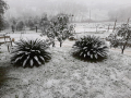 Neve Terni Amelia 2 23 gennaio 2023