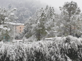 Neve-Terni-Arrone-2-23-gennaio-2023