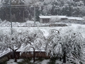 Neve Terni Arrone 23 gennaio 2023