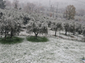 Neve-Terni-Colle-delloro-23-gennaio-2023