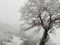 Neve Terni Collescipoli 23 gennaio 2023