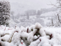 Neve-Terni-Collescipoli-Stroncone-23-gennaio-2023