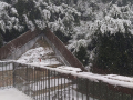 Neve Terni Collestatte Piano 23 gennaio 2023