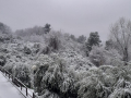 Neve-Terni-La-Romita-Terni-23-gennaio-2023