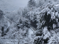 Neve Terni Montefranco 23 gennaio 2023