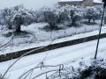 Neve-Terni-Montefranco-23-gennaio-2023