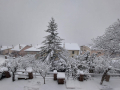 Neve-Terni-Polino-23-gennaio-2023