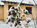 Neve Terni Sambucetole 23 gennaio 2023