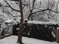 Neve Terni Stroncone 2 23 gennaio 2023