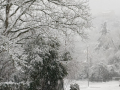 Neve Terni Stroncone 3 23 gennaio 2023