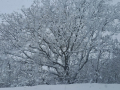 Neve Terni Valserra 23 gennaio 2023