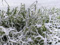 Neve Terni cimitero 23 gennaio 2023