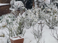 Neve Todi 23 gennaio 2023