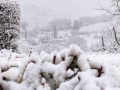 Neve-fra-Collescipoli-e-Stroncone-23-gennaio-2023-2