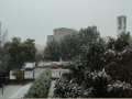 Olmo-neve-Perugia