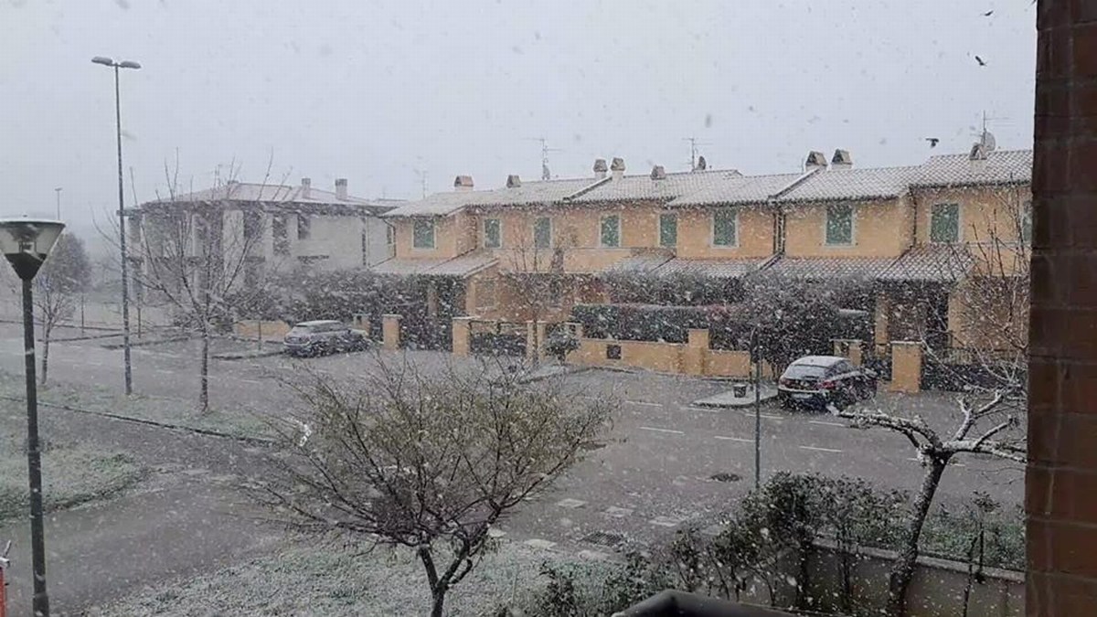 Neve 2 - 24 marzo 2020 (3)