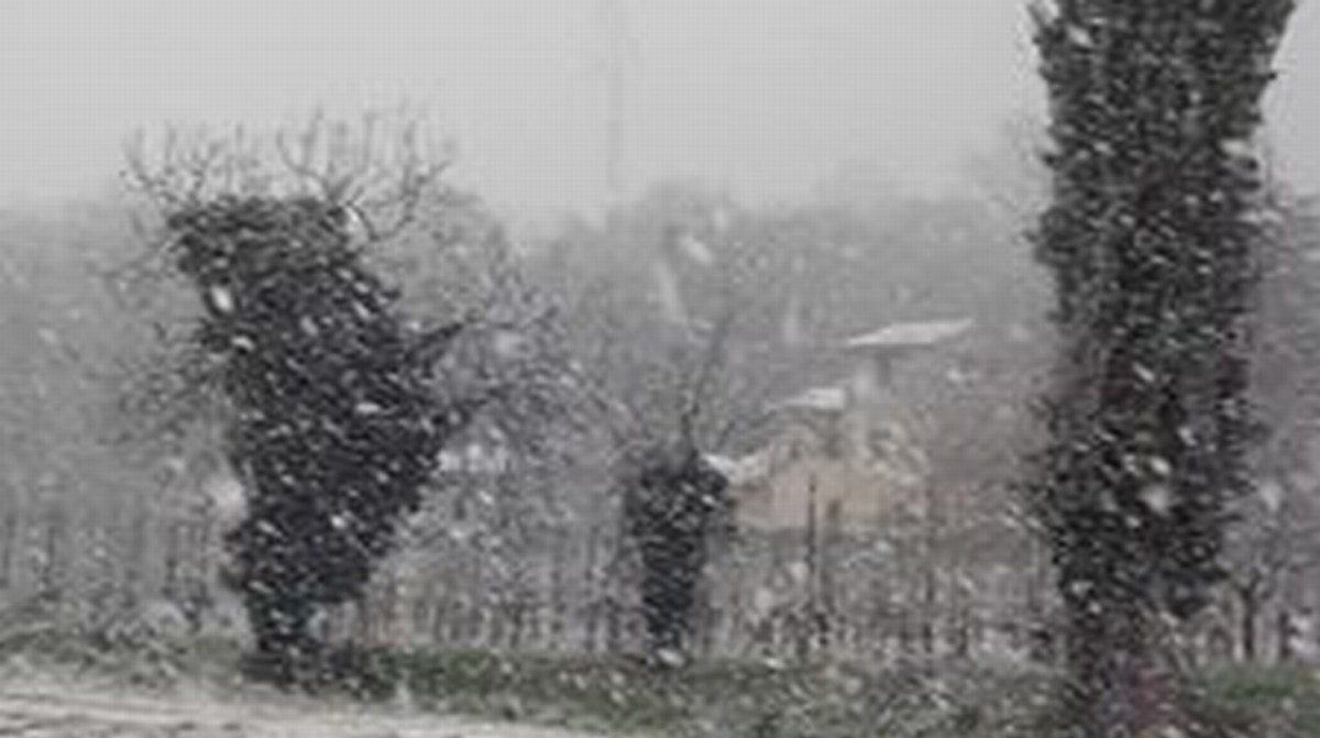 Neve 2 - 24 marzo 2020 (5)