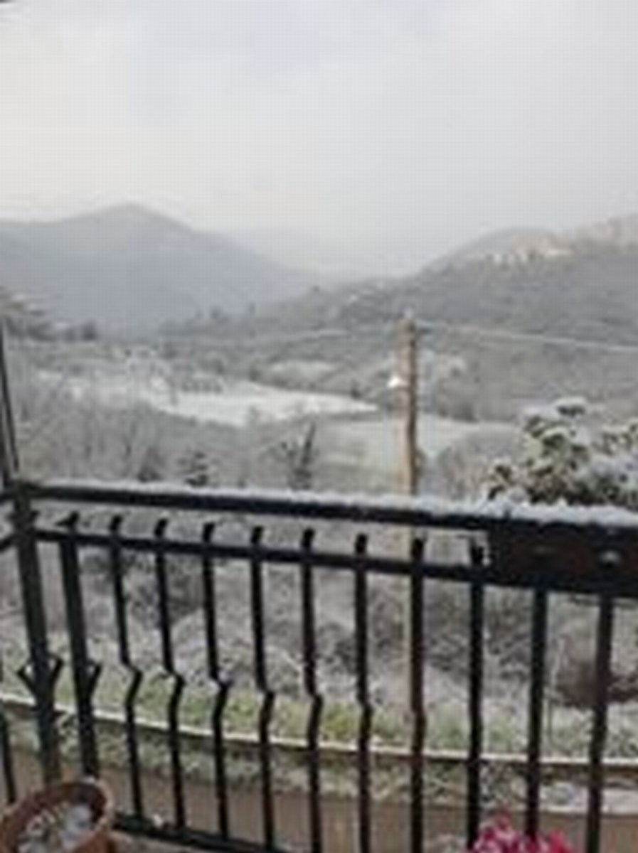 Neve 2 - 24 marzo 2020 (8)