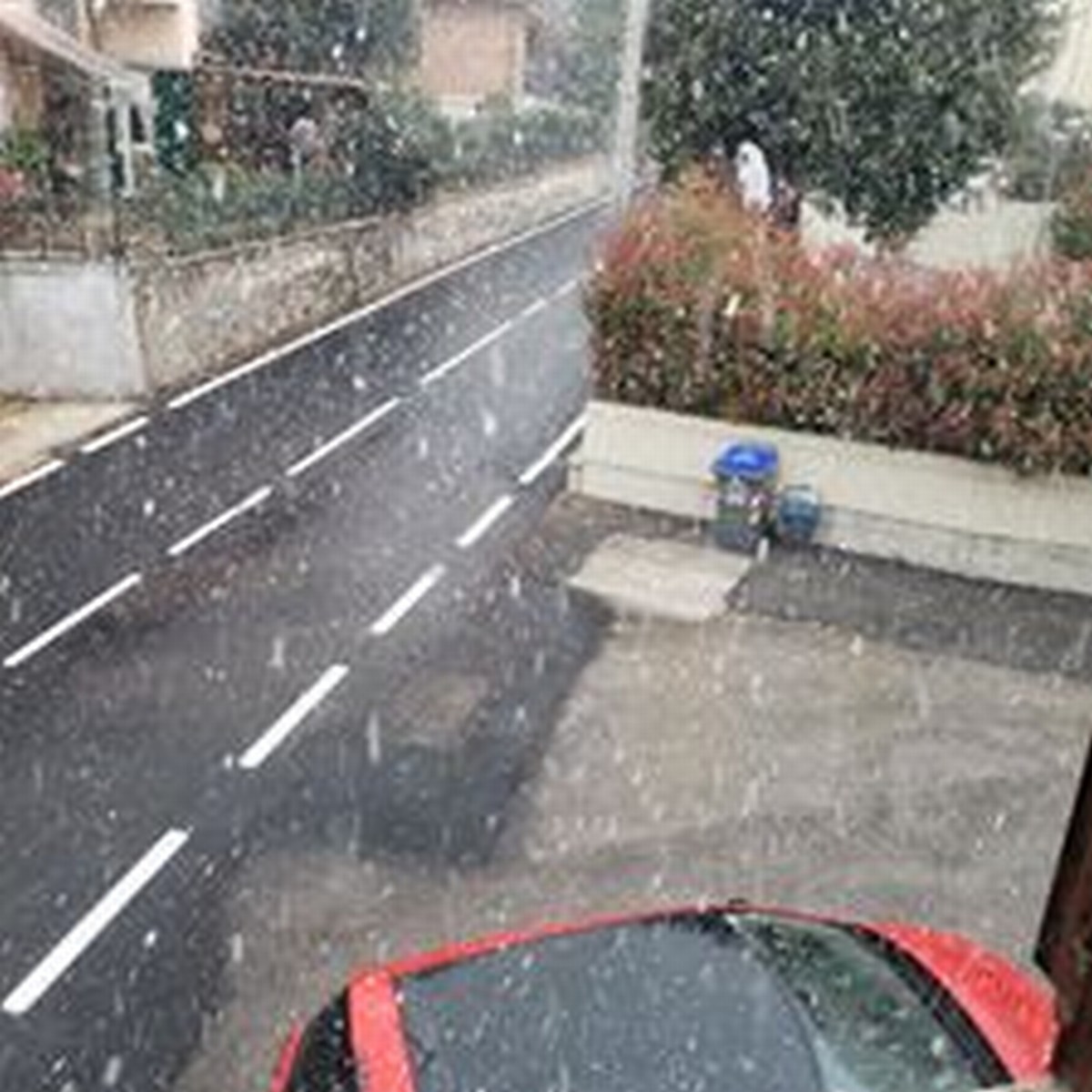 Neve - 24 marzo 2020 (10)