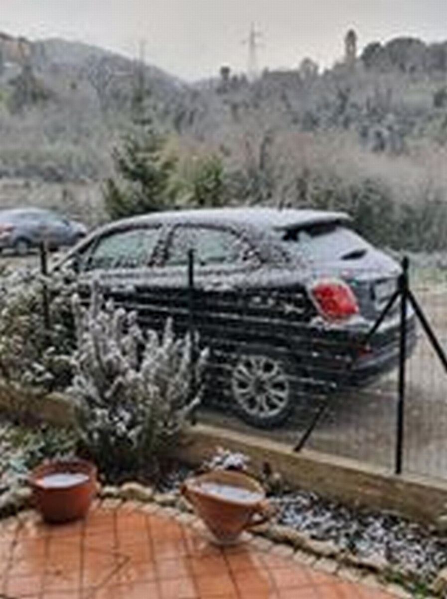 Neve - 24 marzo 2020 (6)