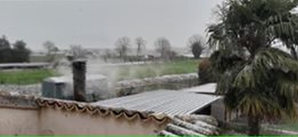 Neve - 24 marzo 2020 (7)