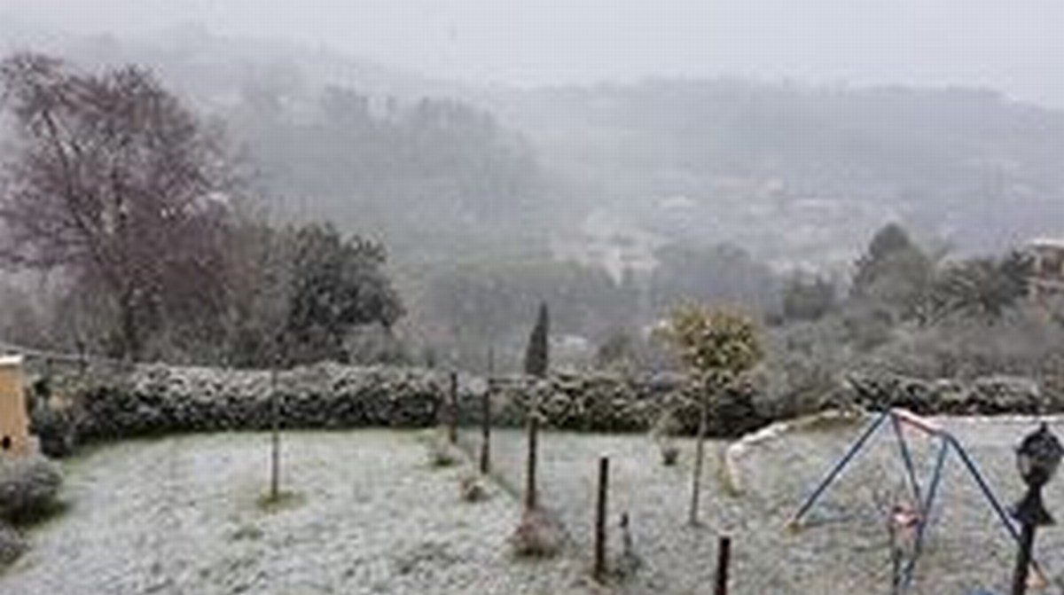 Neve 3 - 24 marzo 2020 (3)