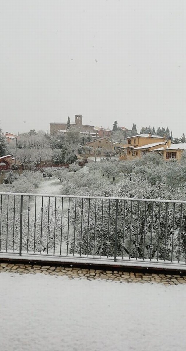 Neve 4 - 24 marzo 2020 (1)