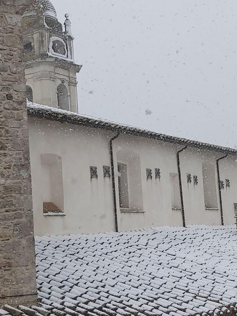 Neve 5 - 24 marzo 2020 (2)