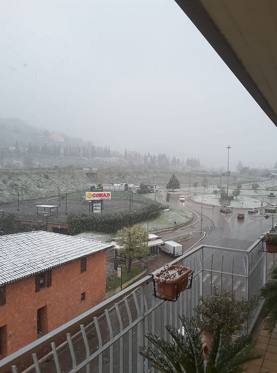 Neve 5 - 24 marzo 2020 (4)