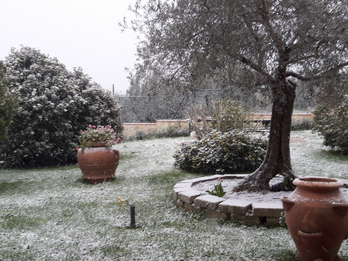 Neve Collestatte - 24 marzo 2020