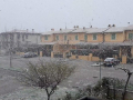 Neve 2 - 24 marzo 2020 (3)