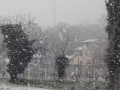 Neve 2 - 24 marzo 2020 (5)