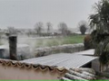 Neve - 24 marzo 2020 (7)