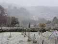 Neve 3 - 24 marzo 2020 (3)