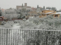 Neve 4 - 24 marzo 2020 (1)