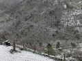 Neve 4 - 24 marzo 2020 (4)