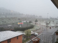 Neve 5 - 24 marzo 2020 (4)