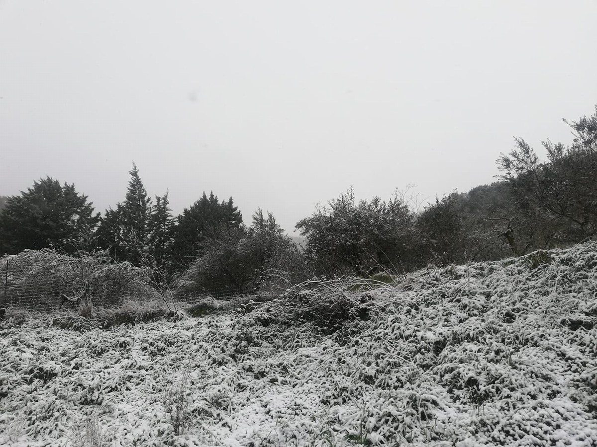 Neve-Lugnano-in-Teverina-Burian-13-febbraio-2021