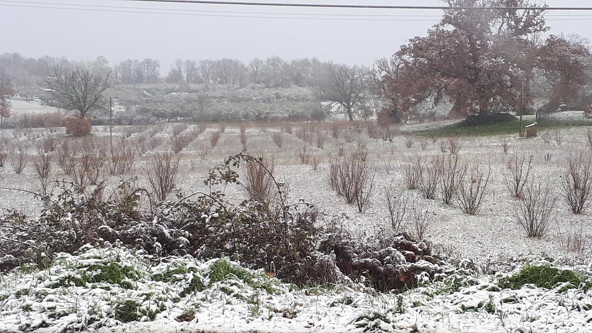 Neve Ternano Burian - 13 febbraio 2021