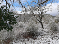 Neve Perugia Burian - 13 febbraio 2021 (3)