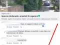 rosetti su facebook 25 nigeriani arrestati perugia