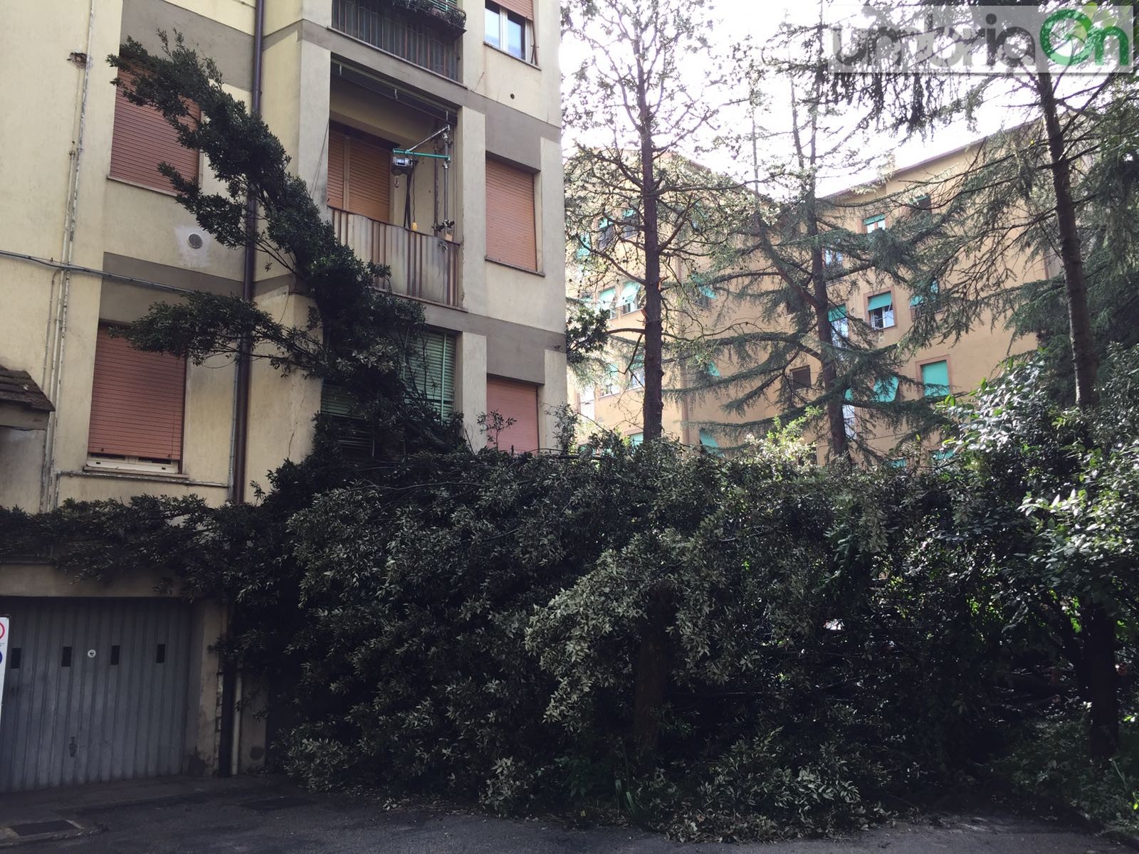 Maltempo-via-Ginestre-Terni3