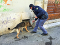 Operazione-antidroga-Gotham-cani-cane-piazza-Solferino-polizia-18-dicembre-2018-10