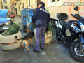 Operazione-antidroga-Gotham-cani-cane-piazza-Solferino-polizia-18-dicembre-2018-11