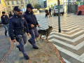 Operazione-antidroga-Gotham-cani-cane-piazza-Solferino-polizia-18-dicembre-2018-12