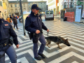 Operazione-antidroga-Gotham-cani-cane-piazza-Solferino-polizia-18-dicembre-2018-2