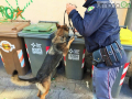 Operazione-antidroga-Gotham-cani-cane-piazza-Solferino-polizia-18-dicembre-2018-3