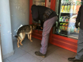 Operazione-antidroga-Gotham-cani-cane-piazza-Solferino-polizia-18-dicembre-2018-5