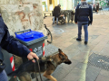 Operazione-antidroga-Gotham-cani-cane-piazza-Solferino-polizia-18-dicembre-2018-8