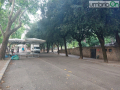 Mercatino passeggiata 19 luglio (11)